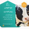 دوره آموزشی پرورش گاو شیری و تلیسه شیری +بازدید