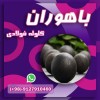 گلوله فولادی - گلوله بالمیل - بالمیل