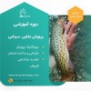 دوره آموزشی پرورش ماهی سردابی