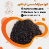 آموزش شینیون مو فر با بهترین متریال