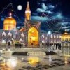 تور های متنوع مشهد مقدس،زمین،هوایی و قطار،رزرو آنلاین بلیط ه