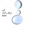 گروه بازرگانی و گمرک SANA