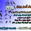 فروش اینترنتی و حضوری لوازم و تجهیزات ورزشی