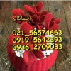 پودر مخمل چینی و ترک و ایرانی 09195642293