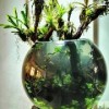 مشاوره، طراحی و اجرای انواع اکوسیستم طبیعی جنگلی