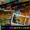 ابکاری فانتاکروم با جلوه کروم واقعی/قیمت مناسب
