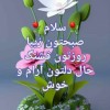 روغن زیتون مستقیم از کارخانه و باغدار