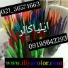 پودر فلوک /مخمل پاش/09362709033/شرکت ایلیاکالر