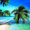 تور تفریحی کیش