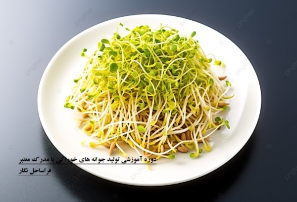 دوره آموزشی کاشت جوانه های خوراکی