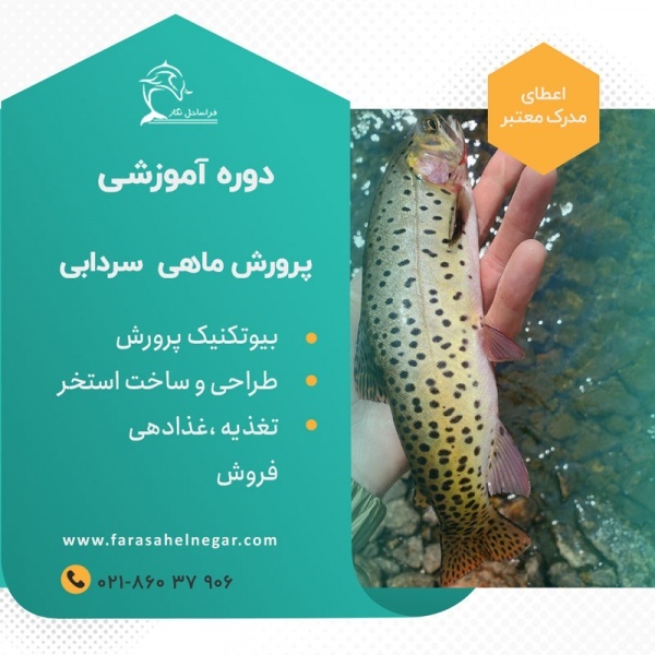 دوره آموزشی پرورش ماهی سردابی