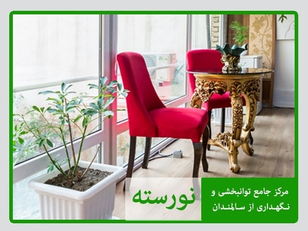 خانه سالمندان در دولت