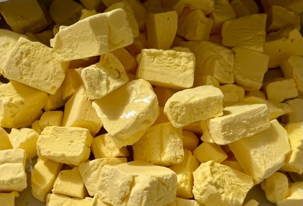 محصولات فریزدرایر