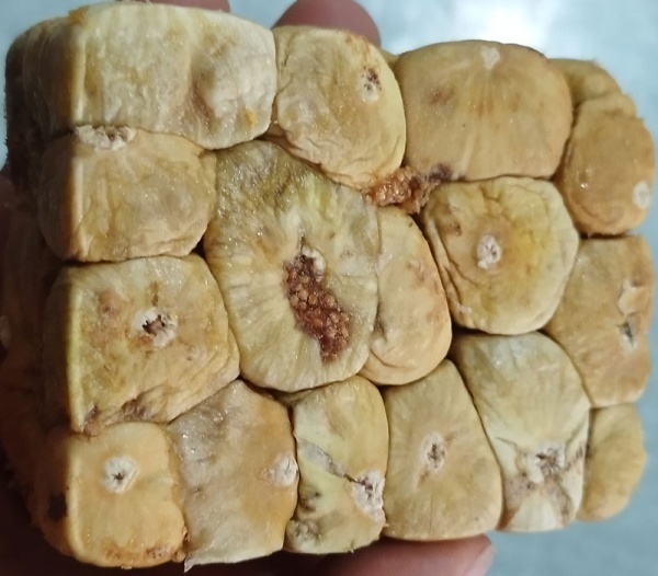 انجیر مرطوب فشرده با پرسی