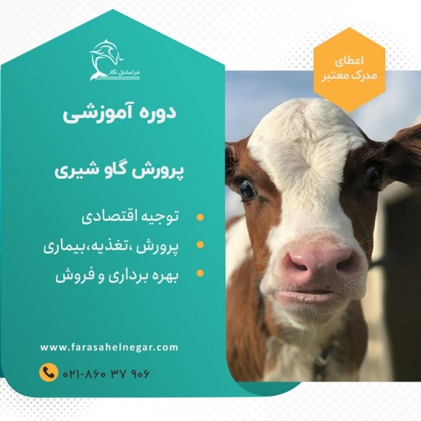 دوره آموزشی پرورش گاو شیری و تلیسه شیری ، بازدید
