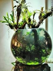 مشاوره، طراحی و اجرای انواع اکوسیستم طبیعی جنگلی