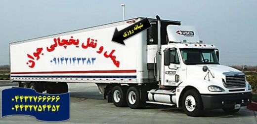 حمل و نقل و باربری یخچالداران گرگان