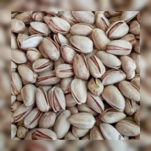 فروش پسته با کیفیت فوق العاده و خوش طعم