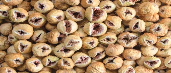 انجیر خشک استهبان
