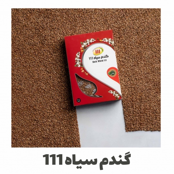 خواص گندم سیاه